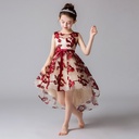 Children's Princess Dress with Lace and Elegant Train – Perfect for Various Occasions