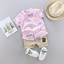 Children's set consisting of a stylish shirt and shorts