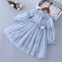 A girls’ spring mesh dress with long sleeves