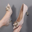 Women’s pointed stiletto heels adorned with rhinestones for a modern, luxurious touch