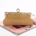 Women's luxury evening bag adorned with diamonds and an elegant chain