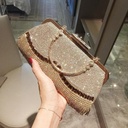 Luxury women's evening clutch bag adorned with rhinestones in a gold design