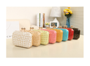 Mini beaded bag adorned with rhinestones, featuring an elegant double clip design