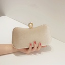 Elegant classic women's velvet handbag with a luxurious design