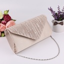 Elegant evening bag adorned with crystals and sparkling rhinestones
