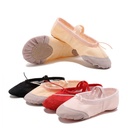 Cat Claw Ballet Dance Shoes