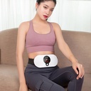 Smart Waist Massager with Waist and Back Support