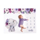 Baby Milestone Memory Blanket