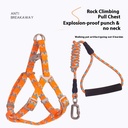 Stylish chest and back harness for pets with a circular traction rope and a comfortable foam handle