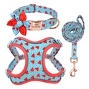 Small Dog Leash and Collar Set for Teddy and Corgi Dogs