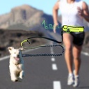 Pet Supplies Waterproof Waist Bag with Running Leash