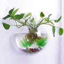 Wall-Mount Acrylic Fish Bowl
