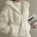 South Korea French Minority Zipper Hooded Warm Casual Sports Plush Coat