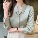 Spring New Chiffon Long-sleeve Shirt Designed For Women