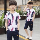 Children's Short Sleeve Shorts Two Piece Set