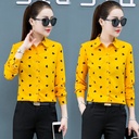 Women's long-sleeved chiffon shirt